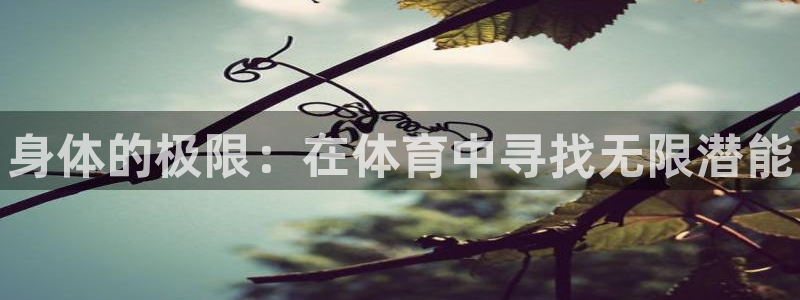 3377体育官方正版app官方：身体的极限：在体育中