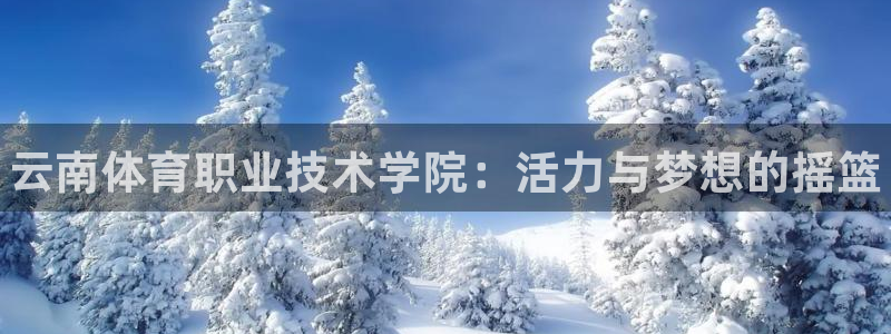 3377体育官方正版app集团官网网址：云南体育职业
