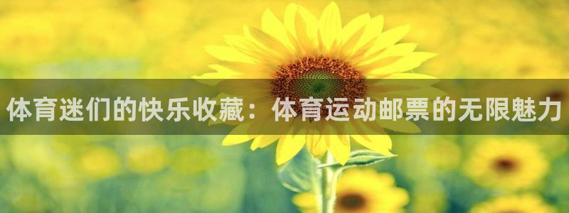 3377体育官方正版app新能源：体育迷们的快乐收藏