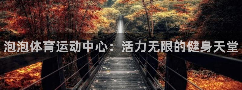 3377体育官方正版app集团官网网址：泡泡体育运动