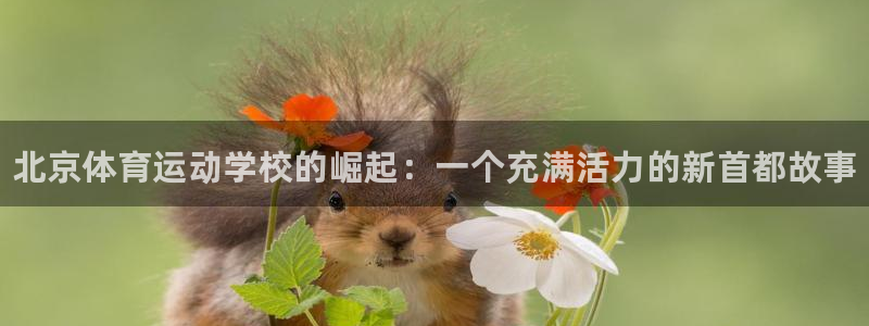 3377体育官网下载平台假的吗是真的吗：北京体育运动