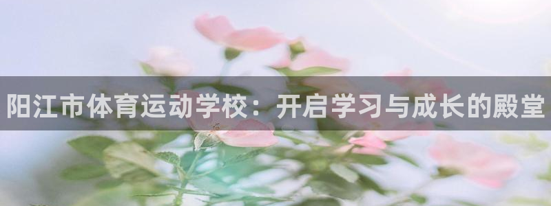 海南3377体育官网下载发展怎么样：阳江市体育运动学