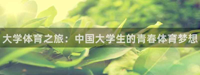 3377体育官方正版app娱乐网站：大学体育之旅：中