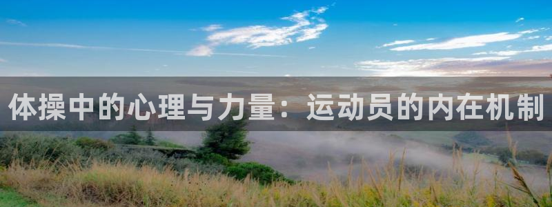 德国3377体育官方正版app集团：体操中的心理与力