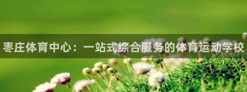 德国3377体育官方正版app集团：枣庄体育中心：一