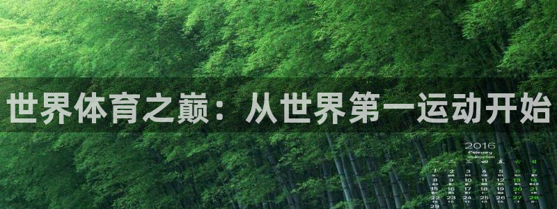 3377体育官方正版app开户：世界体育之巅：从世界第一运动
