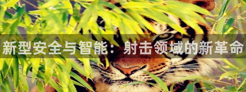 3377体育官方正版app神州：新型安全与智能：射击领域的新