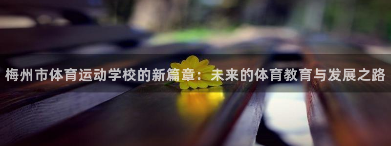 3377体育官方正版app娱乐40996：梅州市体育运动学校