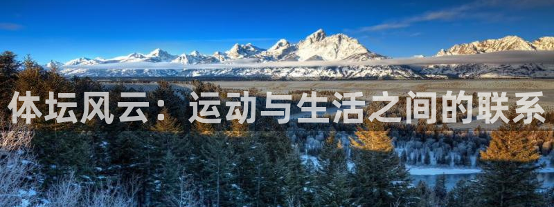 3377体育官网下载是干嘛的公司：体坛风云：运动与生活之间的