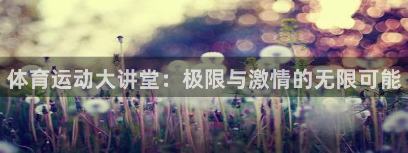 3377体育官方正版app娱乐下载