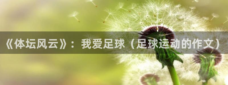 3377体育官方正版app娱乐