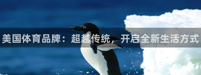 3377体育官网下载招商电话地址是多少：美国体育品牌：超越传