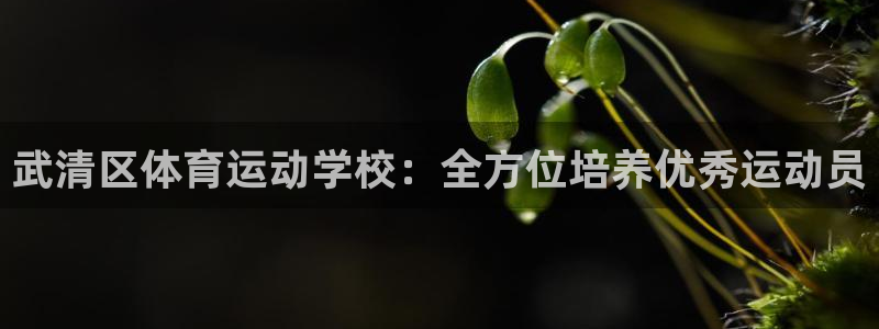 3377体育官网下载招商：武清区体育运动学校：全方位培养优秀