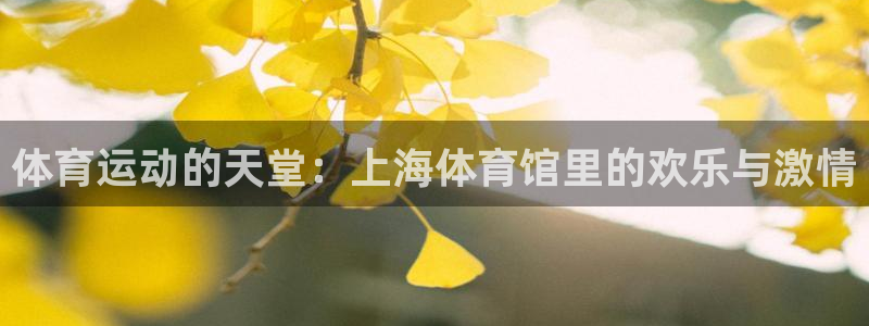 3377体育官方正版app娱乐：体育运动的天堂：上海