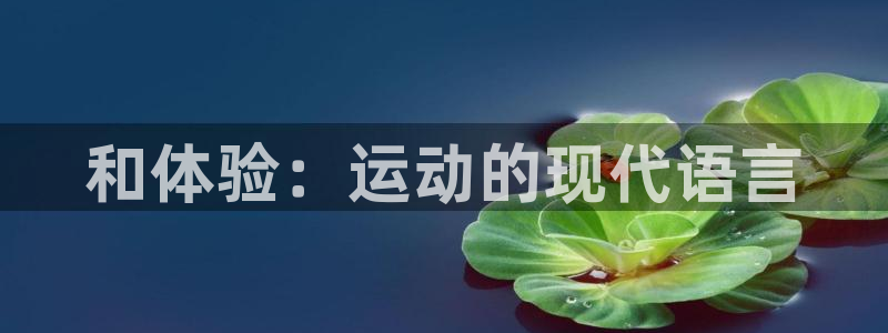 3377体育官网下载平台注册要钱吗安全吗：和体验：运动的现代