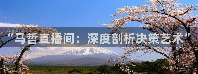 3833tv直播：“马哲直播间：深度剖析决策艺术”