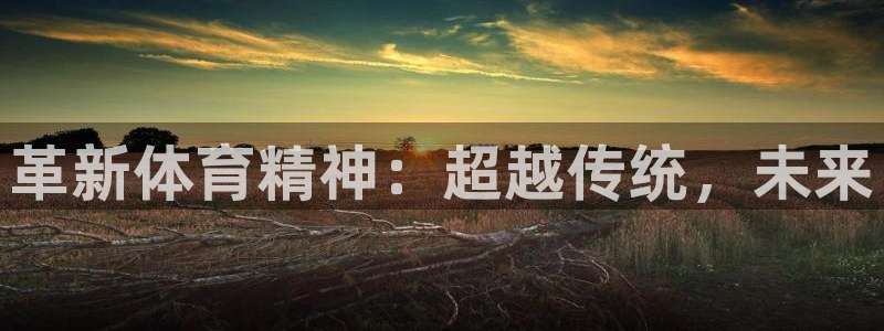 3377体育属于国家打击范围吗：革新