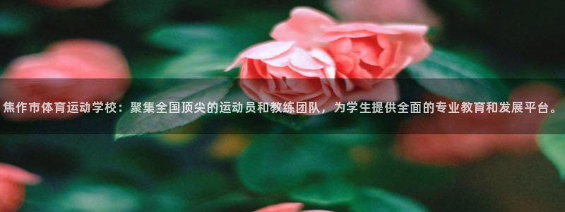 3377体育可信吗：焦作市体育运动学