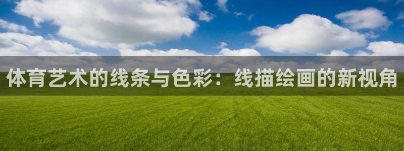  3377体育提款容易通过吗为什么：体育艺术的线条与色彩：线描