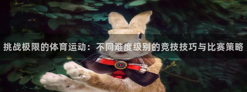  3377体育是正规平台吗：挑战极限的体育运动：不同难度级别的
