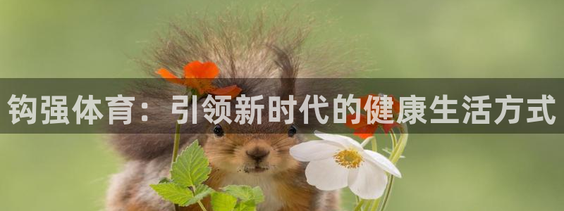  3377体育出款正常不：钩强体育：引领新时代的健康生活方式