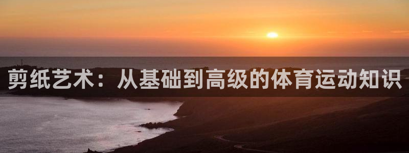 3377体育十大必吃榜：剪纸艺术：从基础到高级的体育运动知识
