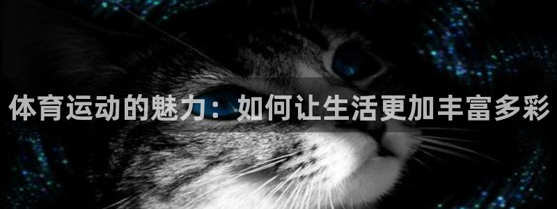 3377体育是干嘛的：体育运动的魅力
