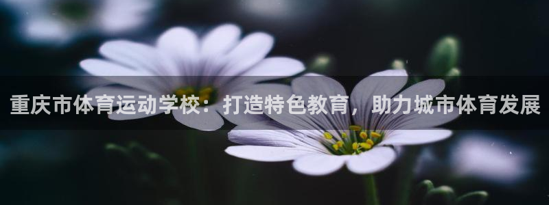 3377体育最厉害三个平台：重庆市体