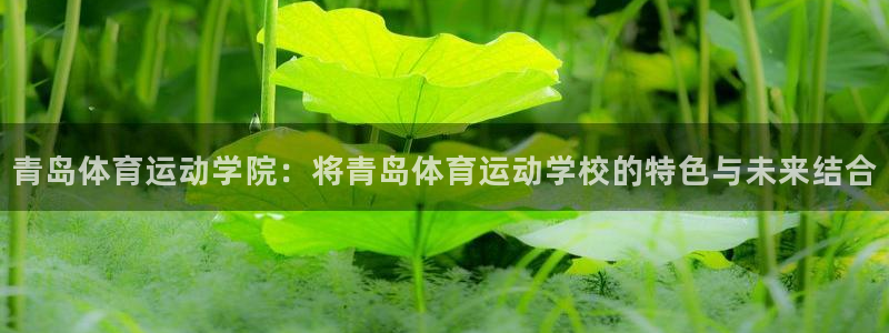  3377体育出款正常不：青岛体育运动学院：将青岛体育运动学校
