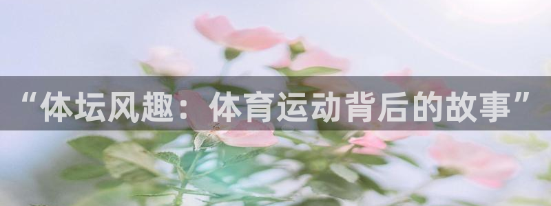 3377体育官网下载