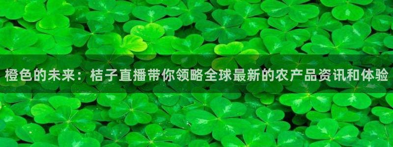 833直播篮球比赛在线观看