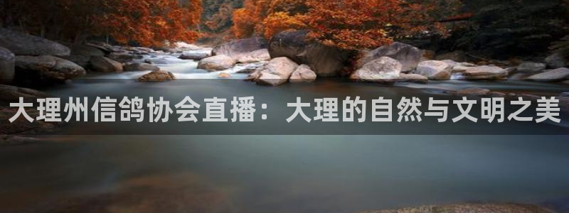 833足球直播免费直播：大理州信鸽协会直播：大理的自然与文明之美