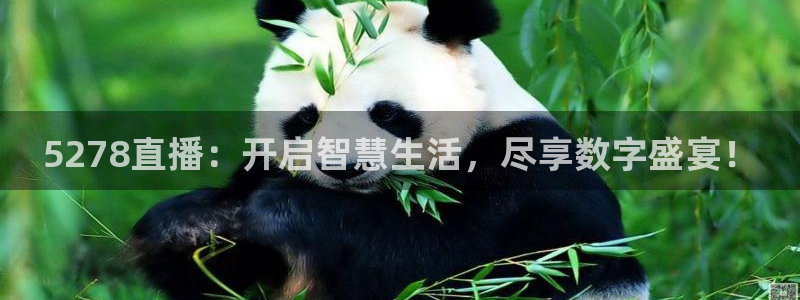 833直播比赛在线观看：5278直播：开启智慧生活，尽享数字盛宴！