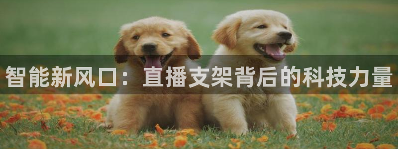 833直播体育免费观看入口：智能新风口：直播支架背后的科技力量